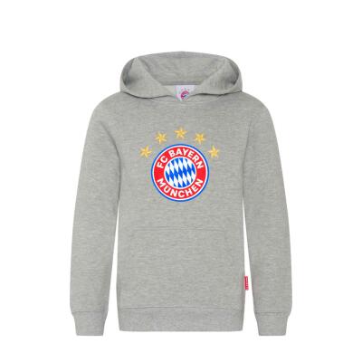 FC Bayern Kinder Hoodie Logo Grau
