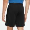 Nike Dri-Fit Academy 23 Shorts Herren Schwarz
