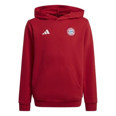 FC Bayern Hoodie Kinder Gr. 140