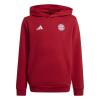 FC Bayern Hoodie Kinder Gr. 140