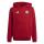 FC Bayern Hoodie Kinder Gr. 140