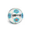 Derbystar Bundesliga Brillant Miniball v24 24/25 Weiß/Blau/Pink