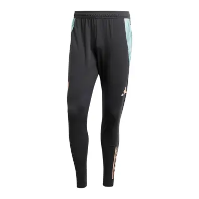 FC Bayern Trainingshose 24/25 Herren