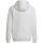 Adidas Entrada 22 Hoody Weiß Herren