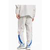 FC Bayern Urban Purist Track Top Trainingshose 24/25 grau