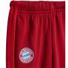 FC Bayern Trainingsanzug DNA Baby