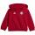 FC Bayern Trainingsanzug DNA Baby