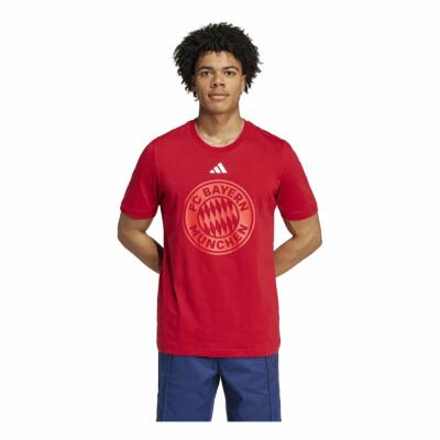 FC Bayern T-Shirt DNA 24/25 Graphic rot