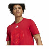 FC Bayern T-Shirt DNA 24/25 Graphic rot