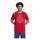 FC Bayern T-Shirt DNA 24/25 Graphic rot