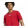 FC Bayern T-Shirt DNA 24/25 Graphic rot