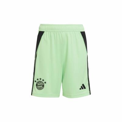 FC Bayern Torwarthose 25/26 Kinder grau/minze 140