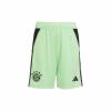 FC Bayern Torwarthose 25/26 Kinder grau/minze 140