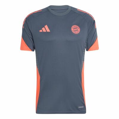 FC Bayern Trainings-Shirt 25/26 Herren grau/rot