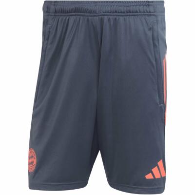 FC Bayern Shorts Tiro 25/26 Herren grau/orange