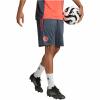 FC Bayern Shorts Tiro 25/26 Herren grau/orange