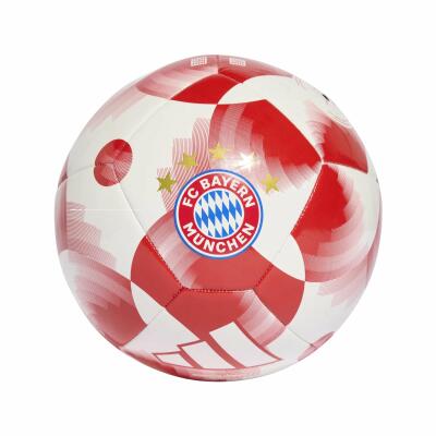 FC Bayern Fußball Home Club rot Gr. 5 (ca.440g)