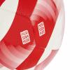 FC Bayern Fußball Home Club rot Gr. 5 (ca.440g)