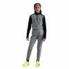 Nike Trainingshose Academy 25 Dri-Fit Kinder grau