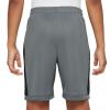 Nike Short Dri-Fit Academy Kinder grau