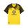 BVB Trikot Heim 25/26 Herren gelb