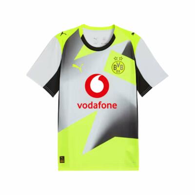 BVB Trikot Replica Away 25/26 Herren grau/gelb