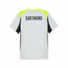 BVB Trikot Replica Away 25/26 Herren grau/gelb