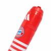 FC Bayern Trinkflasche Heim rot