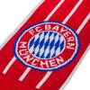 FC Bayern Schal Rekordmeister rot