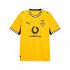 BVB Home Jersey Replica Kinder gelb/schwarz