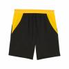 BVB Short Home Replica Herren schwarz/gelb