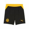 BVB Short Home Replica Kinder schwarz/gelb
