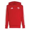 FC Bayern Hoddie Kinder rot