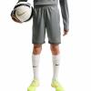 Nike Short Academy Kinder grau