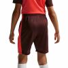 Nike Short Academy + Kinder rot