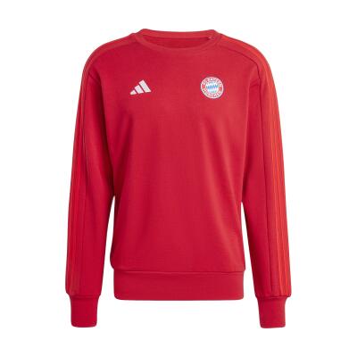 FC Bayern DNA Sweat Hoodie 24/25 Herren rot
