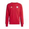FC Bayern DNA Sweat Hoodie 24/25 Herren rot