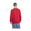FC Bayern DNA Sweat Hoodie 24/25 Herren rot