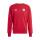 FC Bayern DNA Sweat Hoodie 24/25 Herren rot