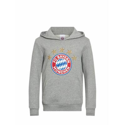 FC Bayern Hoodie 5 Sterne Logo grau Kids