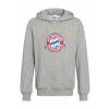 FC Bayern Hoodie 5 Sterne Logo Grau