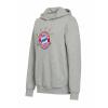 FC Bayern Hoodie 5 Sterne Logo Grau