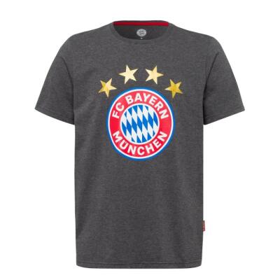 FC Bayern T-Shirt Logo Anthrazit Gr. M