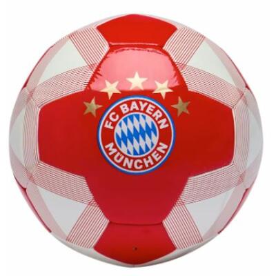 FC Bayern Fußball Gr. 5