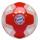 FC Bayern Fußball Gr. 5