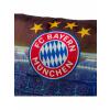 FC Bayern LED Kissen