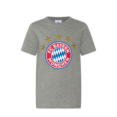 FC  Bayern T-Shirt 5 Sterne Logo Grau Kinder Gr. 116