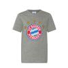 FC  Bayern T-Shirt 5 Sterne Logo Grau Kinder Gr. 164