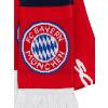 FC Bayern Schal