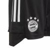 Adidas FC Bayern Trainingsshort